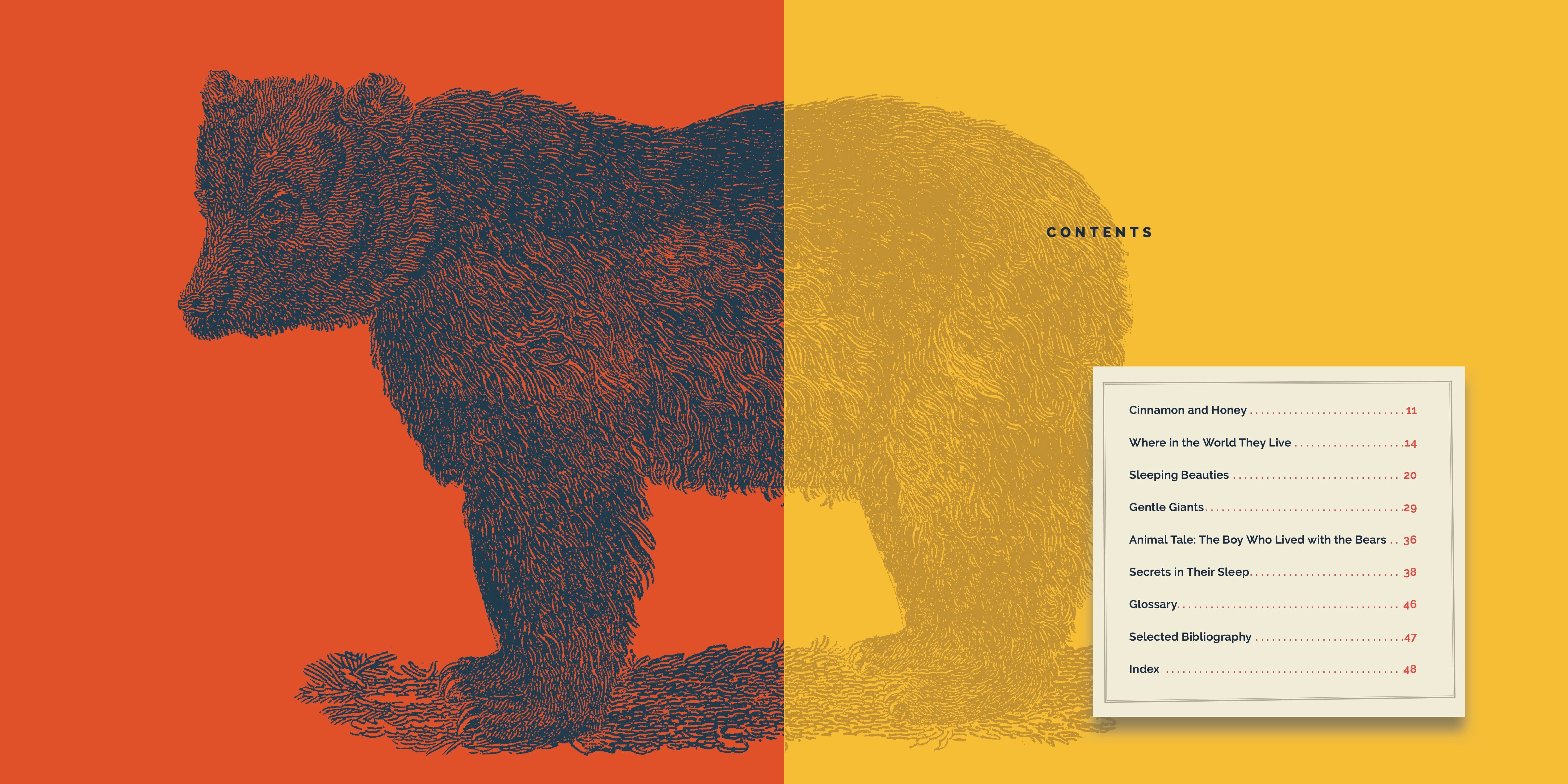 Black Bears Book - 9781640267749 - Wildlife Education & Nature Exploration for Kids & Adults