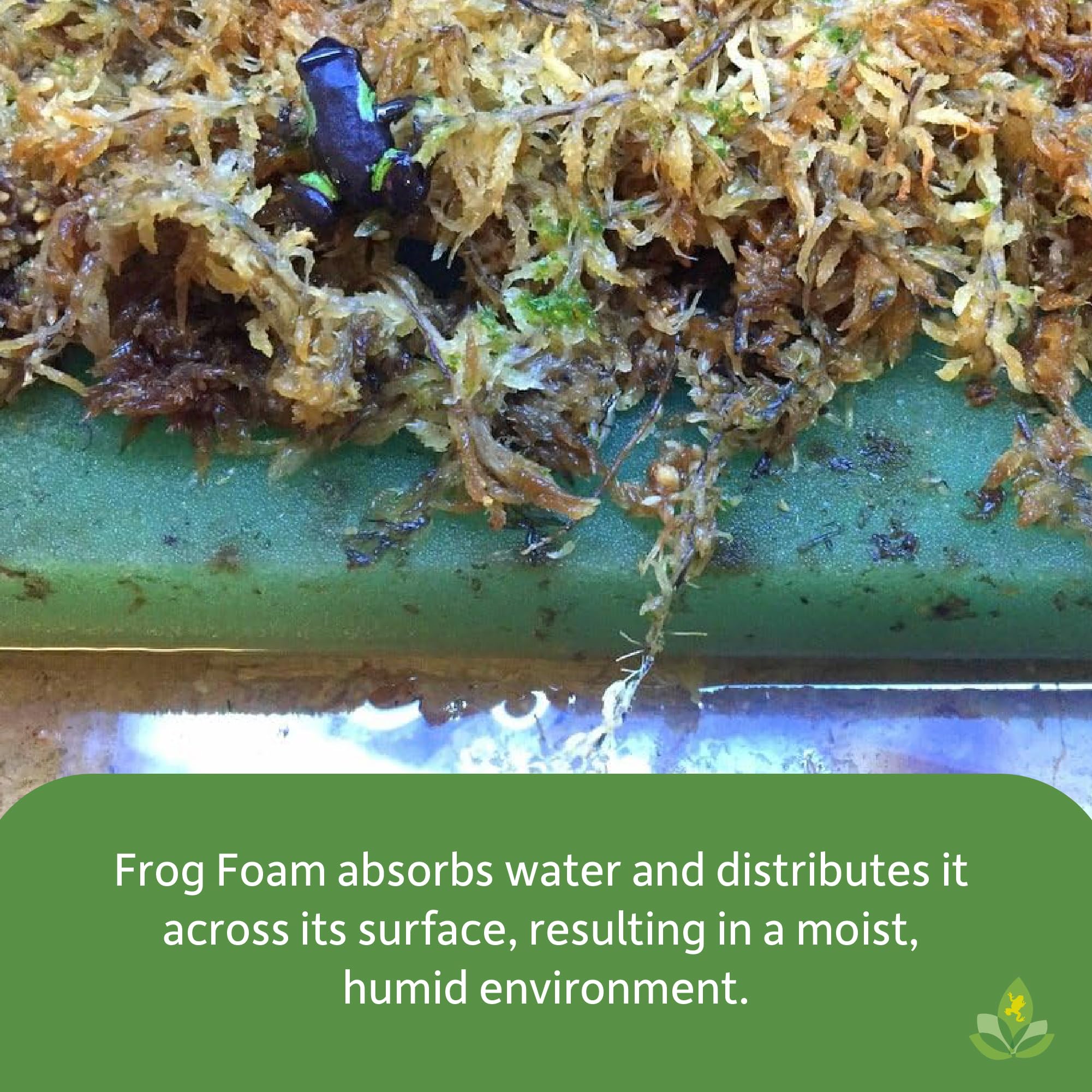 Premium Josh's Frogs Terrarium Liner - 12x12 Inch Frog Foam Substrate for Glass Vivariums | Ideal for Amphibian Habitats, Reptile Tanks & Bioactive Enclosures