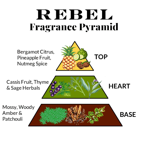 Holiday Fragrance Special - Premium Scented Candles & Diffusers for Christmas Decorations | Perfect for Home, Office & Gift Giving