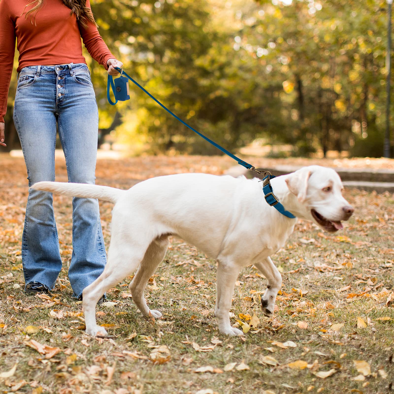 Wisedog Adjustable Dog Collar & Leash Set for Small Medium Large Dogs - Durable Nylon Pet Collar with Leash & Bonus Poop Bag Holder (Blue, Medium) - Perfect for Walking, Training & Outdoor Adventures