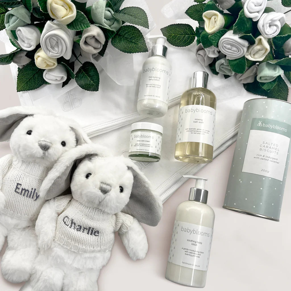 Mom & Twin Babies Gift Basket - Newborn Baby Shower Present for Twins & Mom - Perfect for Baby Showers, Birthdays & Special Occasions