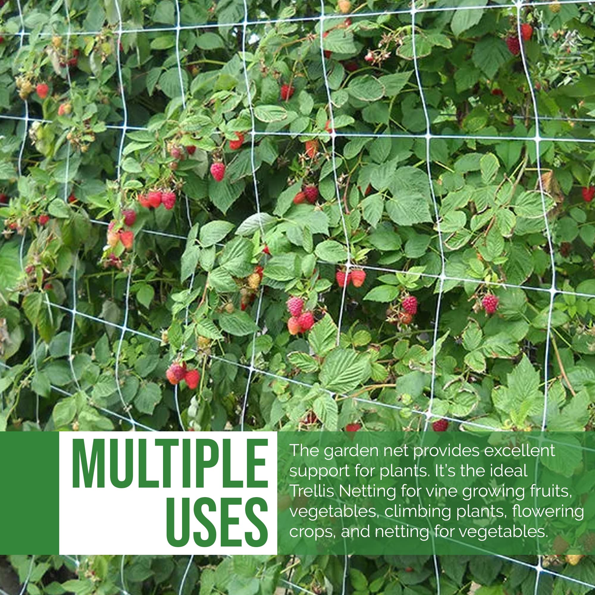 5 ft x 350 ft White Trellis Netting for Plants - Garden Support Mesh for Tomatoes, Grapes, Cucumbers & Vegetables - Durable Raised Bed Plant Net Roll with 6'' Square Openings - Perfect for Vertical Gardening, Vine Support & Backyard Farming