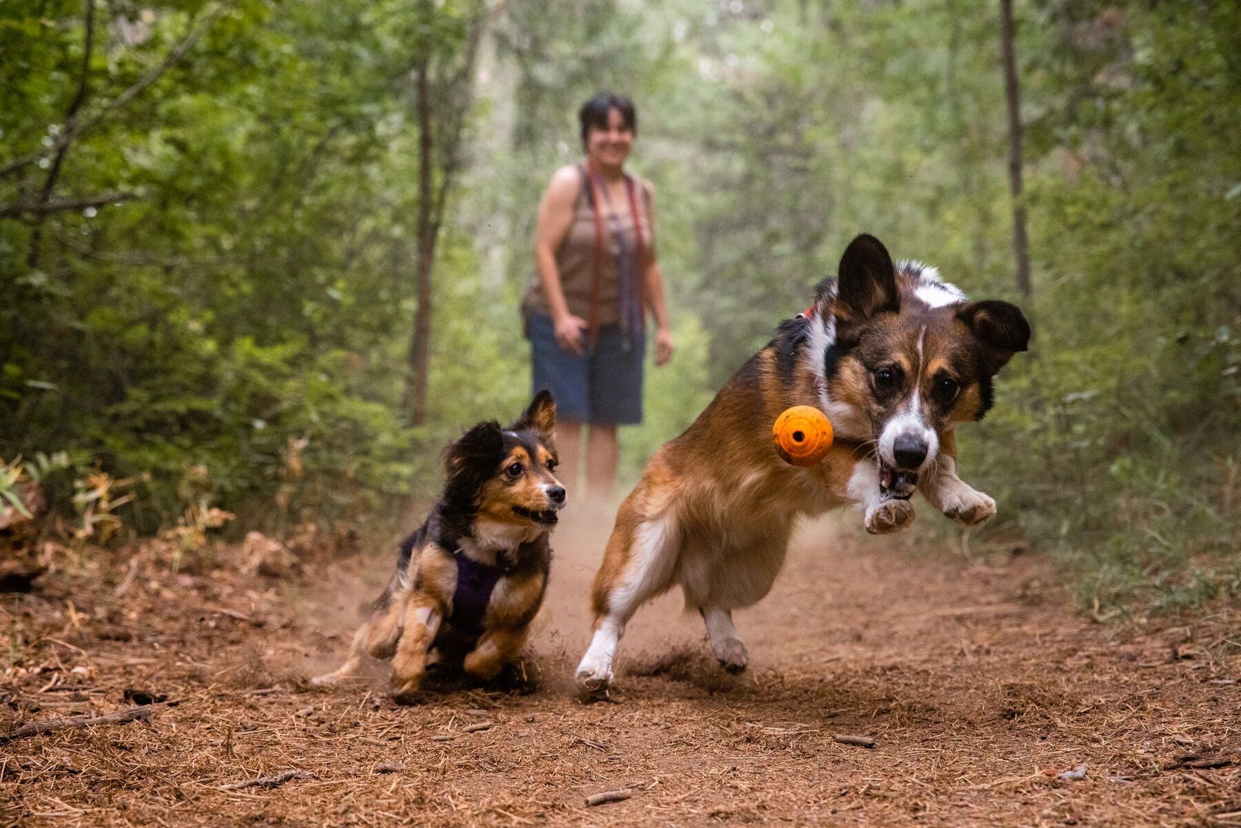 Ruffwear® Turnup® Fetch Ball for Dogs - Campfire Orange Durable Chew Toy for Outdoor Play, Training & Water Fun