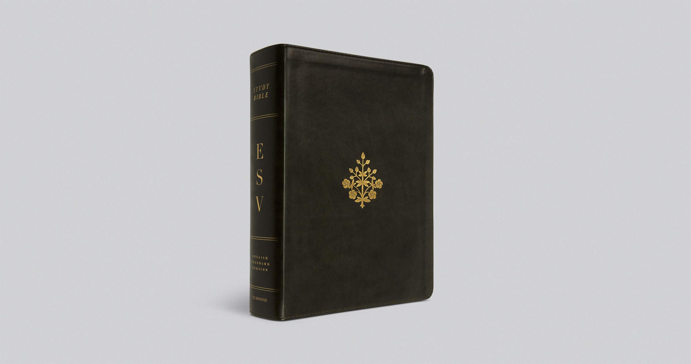 ESV Study Bible - TruTone Olive Branch Design Leather Bible for Men & Women | Perfect for Church, Bible Study Groups & Personal Devotion