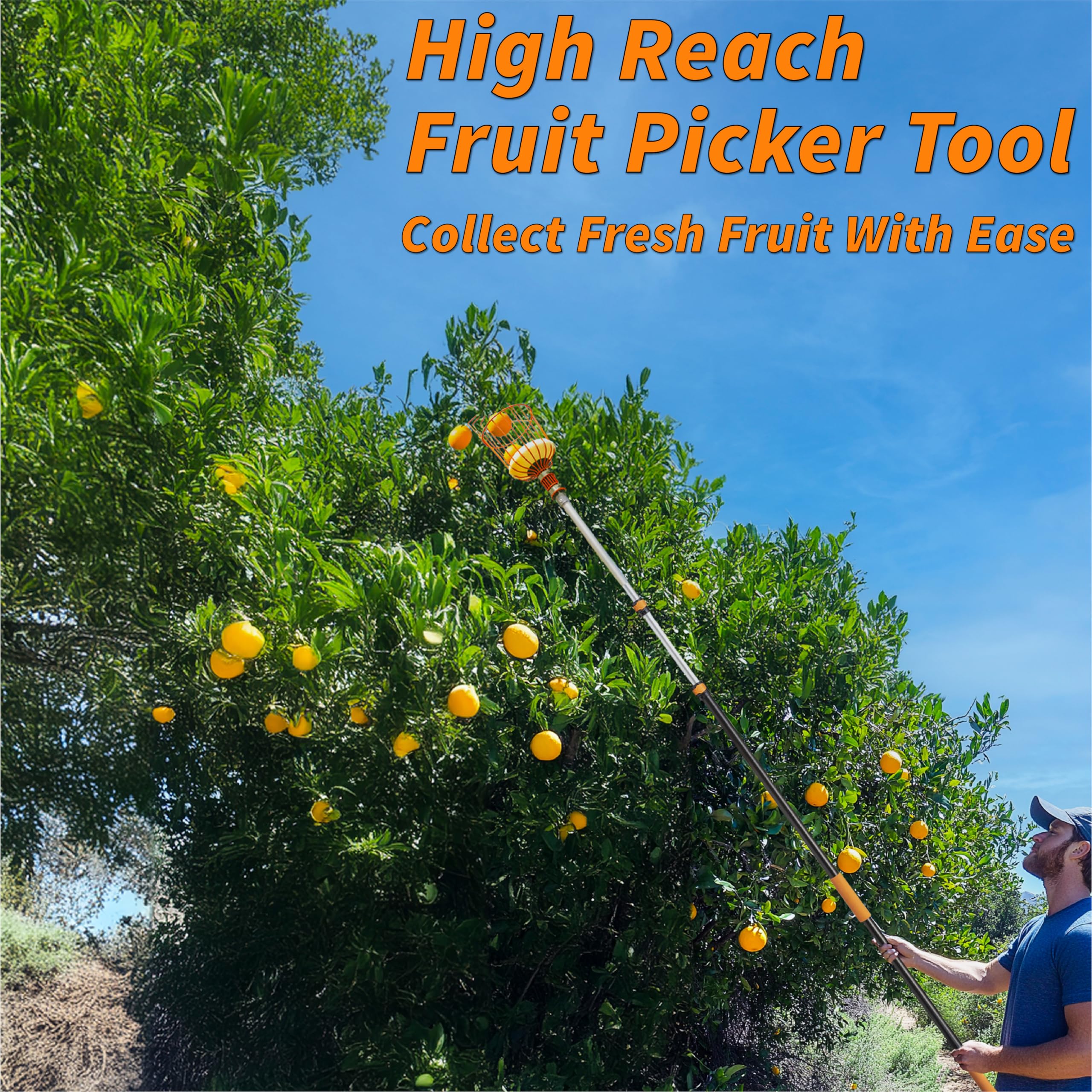 **Telescopic Fruit Picker Pole with Basket (4-12 ft) – Extendable Apple, Orange, Mango, Avocado, Lemon & Pear Harvester Tool – High-Reach Fruit Grabber for Home Garden, Orchard & Backyard Harvesting**