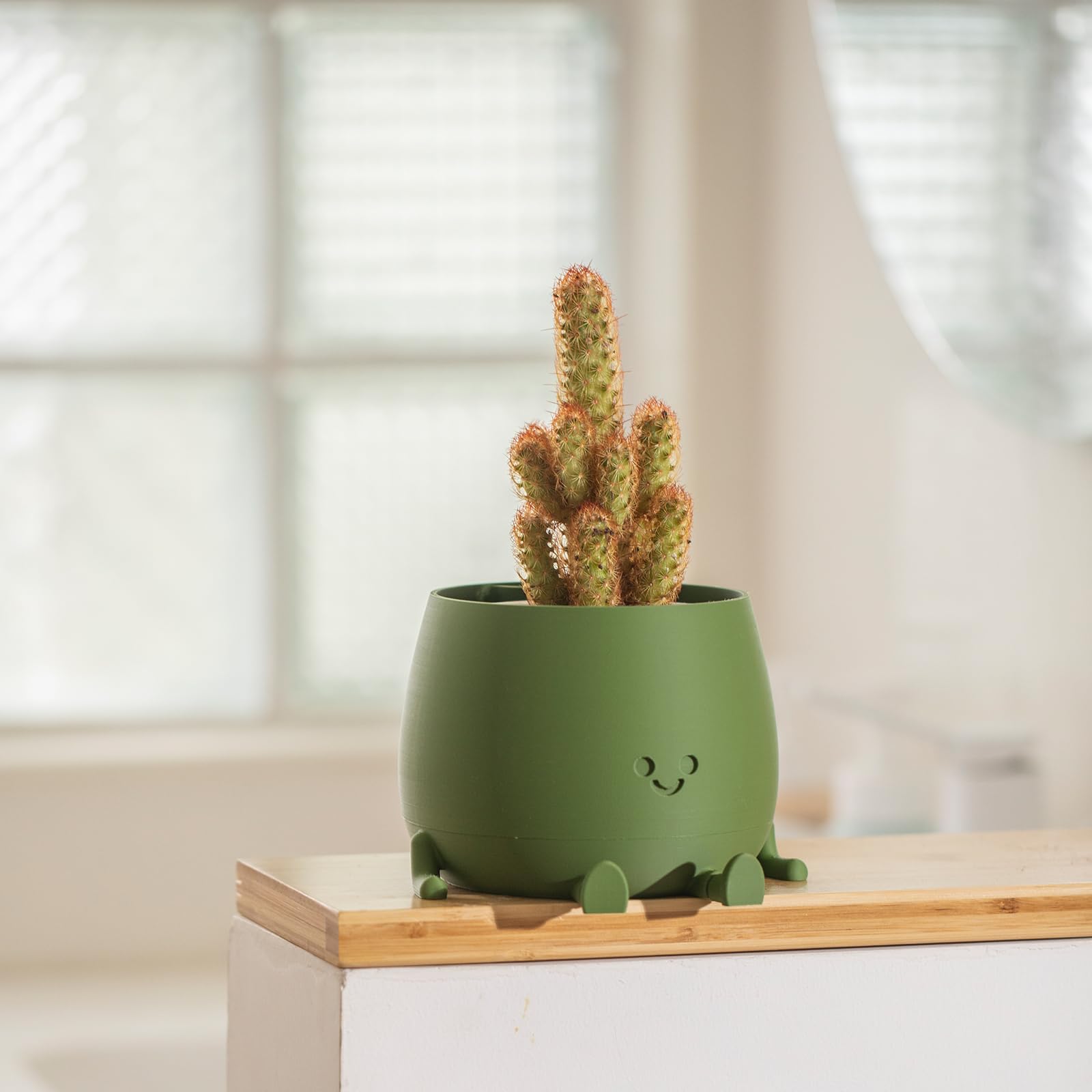 TOPOLA Happy Face Planter - 5.2 Inch Self Watering Plastic Flower Pot with Drainage Holes for Succulents, Indoor & Outdoor Plants - Funny Dark Green Decorative Planter for Home, Office & Garden Decor