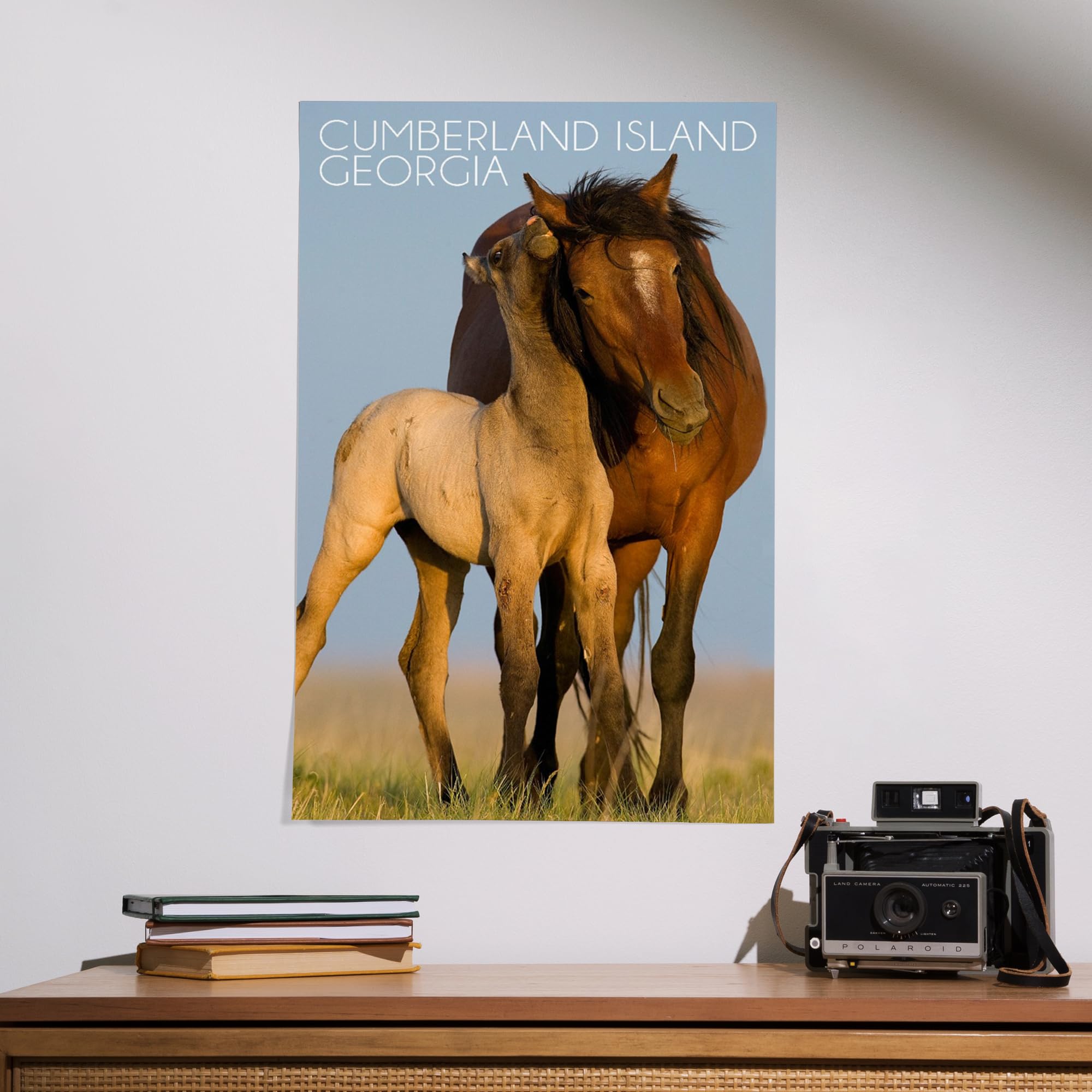 Lantern Press 16x24 Inch Giclee Art Print - Cumberland Island Georgia Wild Horses Landscape Wall Decor - Perfect for Living Room, Bedroom & Office Wall Art