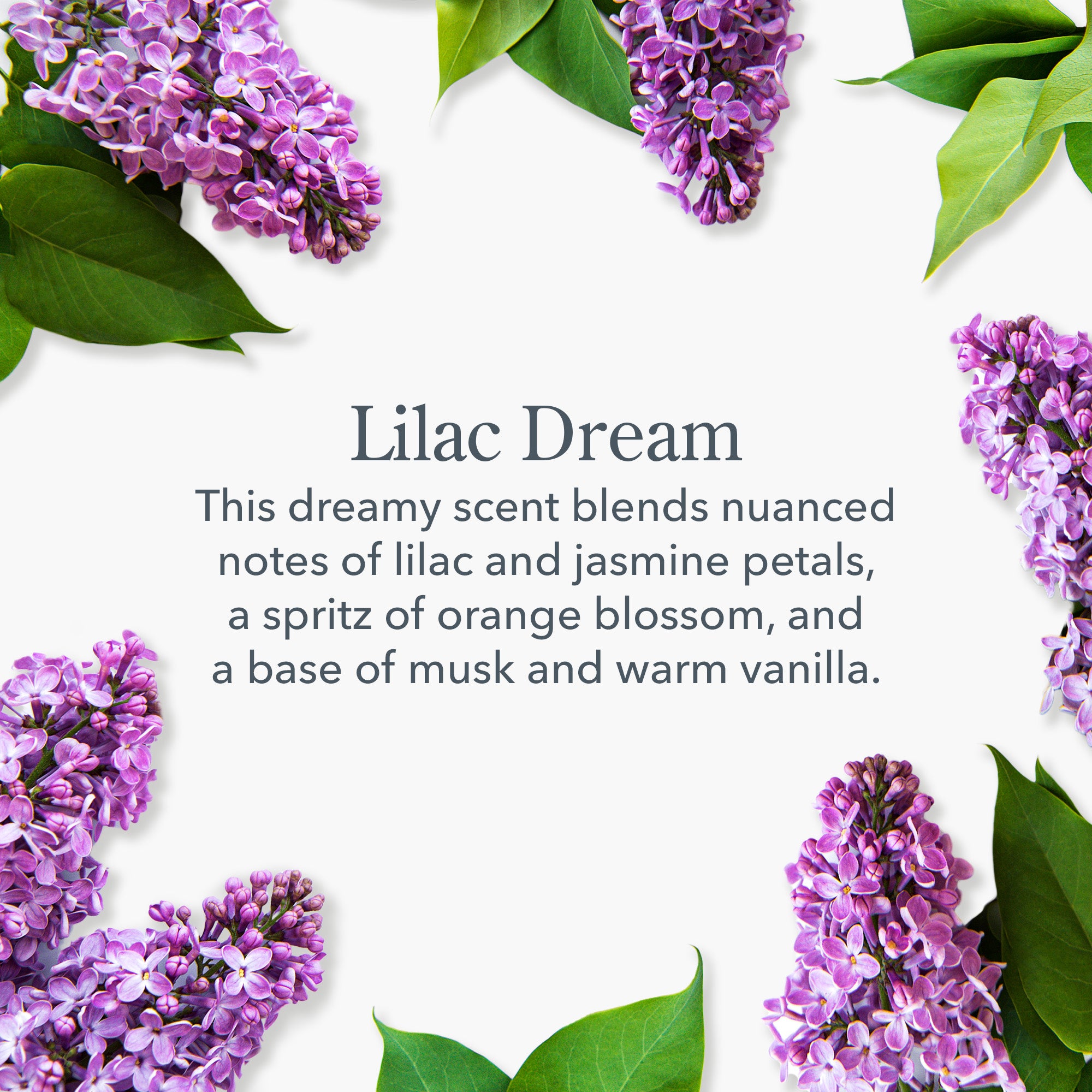 Lilac Dream 3-Pack Palm-Sized Bar Soap Set | Natural Handmade Soap with Floral Scent | Perfect for Bath, Shower & Gift Giving