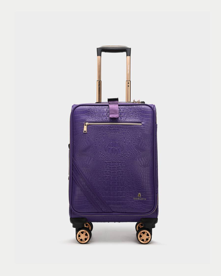 Apollo 2-Piece Luggage Set - 20