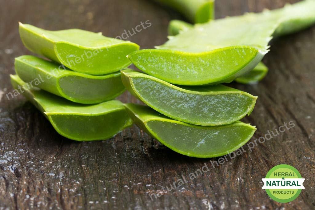 Organic Aloe Vera Powder for Skin & Hair Care - 100% Pure Aloe Arborescens Leaf Extract | Brightens Skin, Evens Tone, Boosts Hair Growth & Immunity | Perfect for DIY Face Masks, Hair Treatments & Wellness Routines - 100g