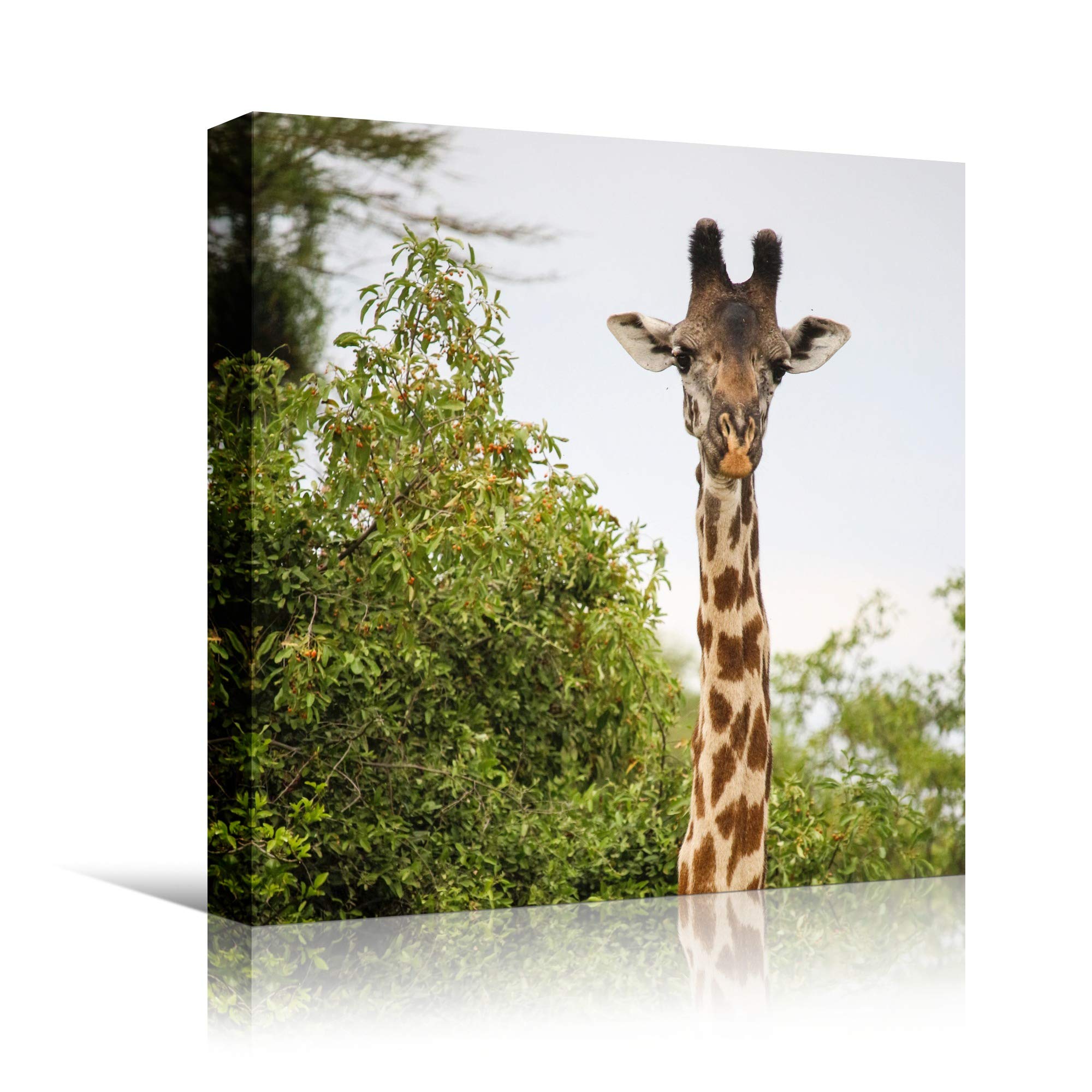 BestDeal Depot Giraffe XIX Animals Expressive Farmhouse Wall Art Print - 12x12 Inch Multicolor Photography Picture for Living Room & Bedroom Decor - Ready to Hang - Perfect for Country Style Home, Nursery, or Office Decoration