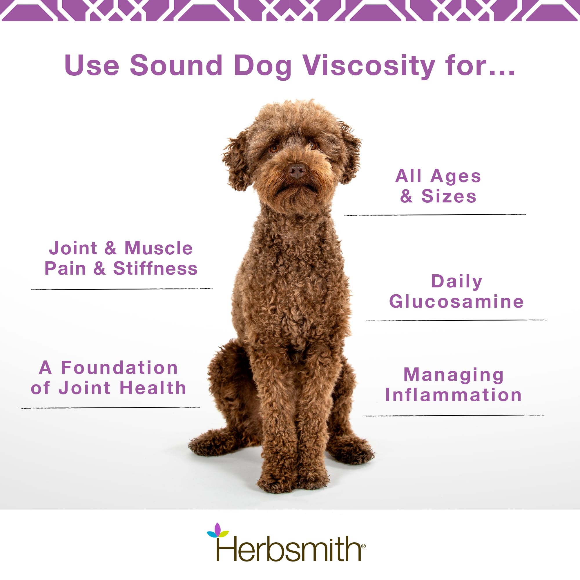 Herbsmith Sound Dog Viscosity - Advanced Joint Support Chews for Dogs with Glucosamine, Chondroitin & MSM - Vet Recommended Supplement for Hip & Joint Pain Relief - 120 Large Soft Chews for Senior Dogs & Active Pets - Perfect for Daily Mobility Support & Arthritis Care