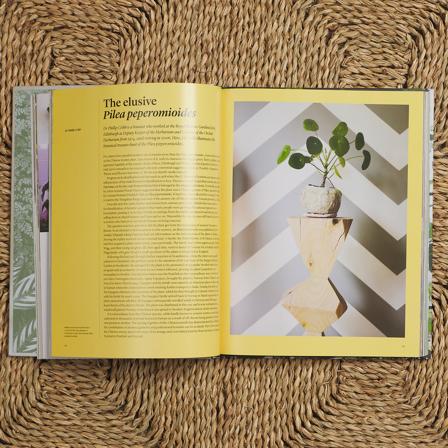 Indoor Green: Living with Plants - Best Houseplants for Home Decor, Air Purifying & Wellness | Perfect for Apartments, Offices & Living Spaces