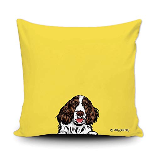 English Springer Spaniel-1-5