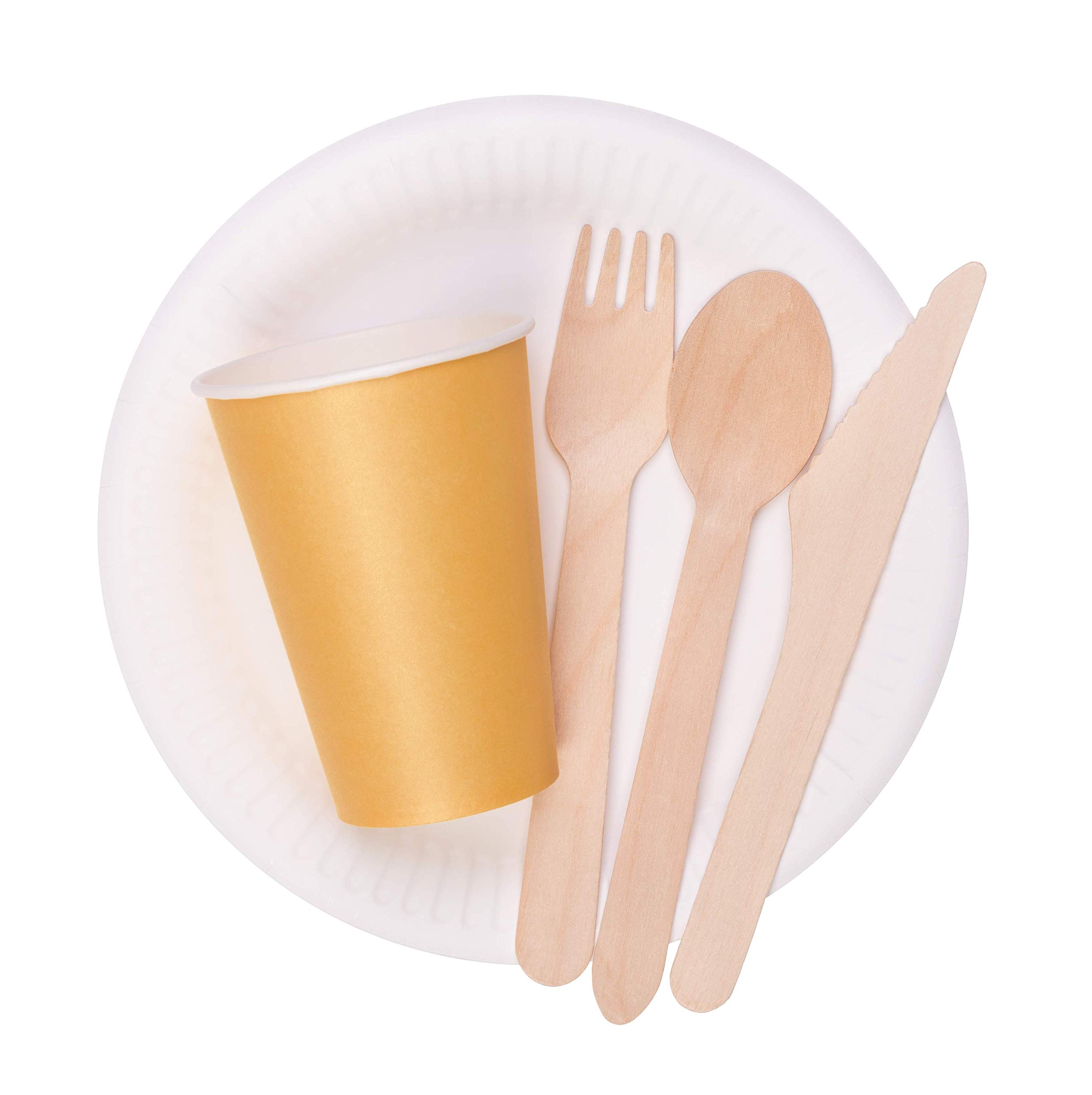 EcoStix Biodegradable Wooden Cutlery Set - 200 Count Compostable Birch Wood Utensils (Knives, Forks, Spoons) | Eco-Friendly Disposable Cutlery for Parties, Picnics & Outdoor Dining