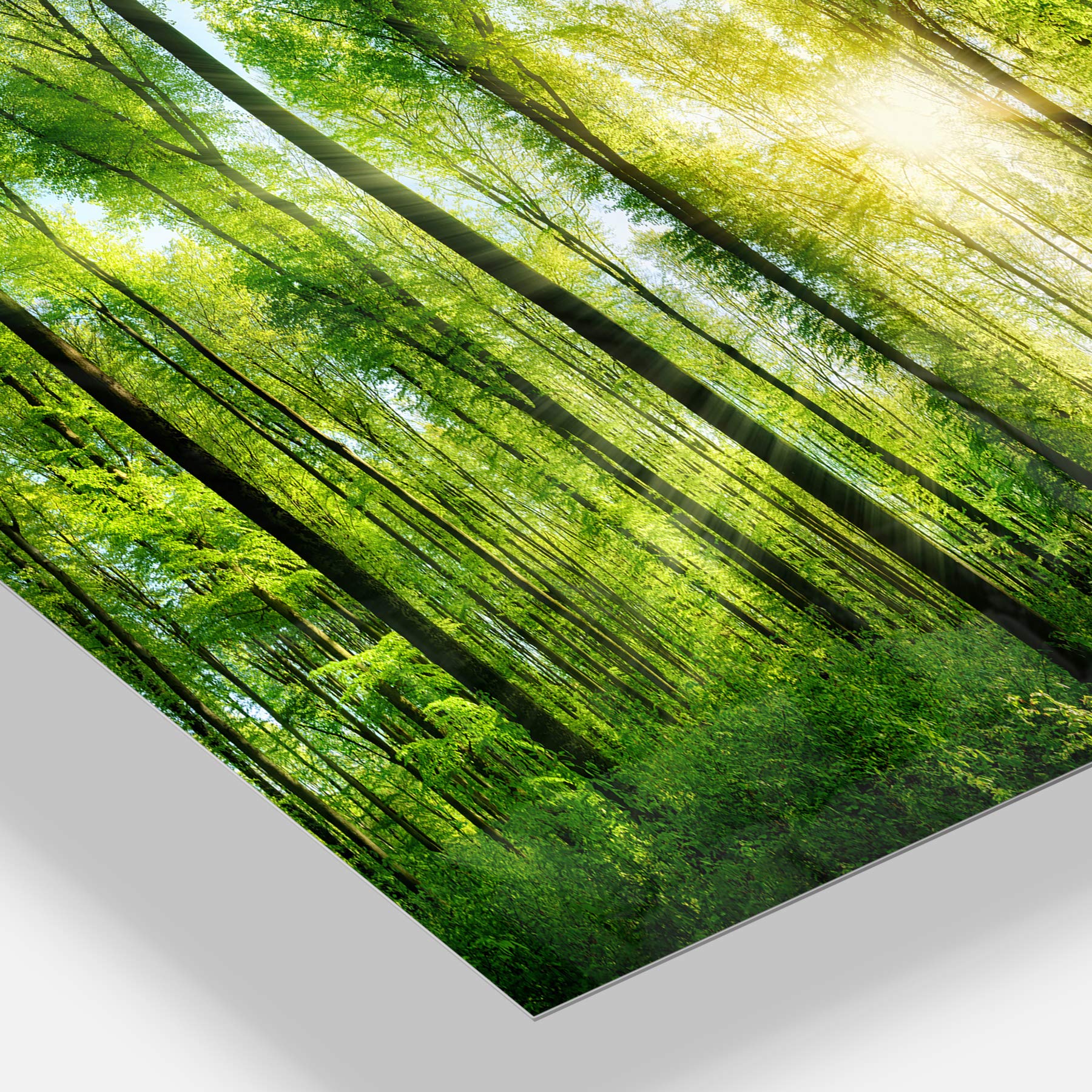 Forest with Sun Rays Panoramic Metal Wall Art - 5 Panel Landscape Decor - 60x28 Inches - Modern Home & Office Wall Decor for Living Room, Bedroom, or Office Spaces