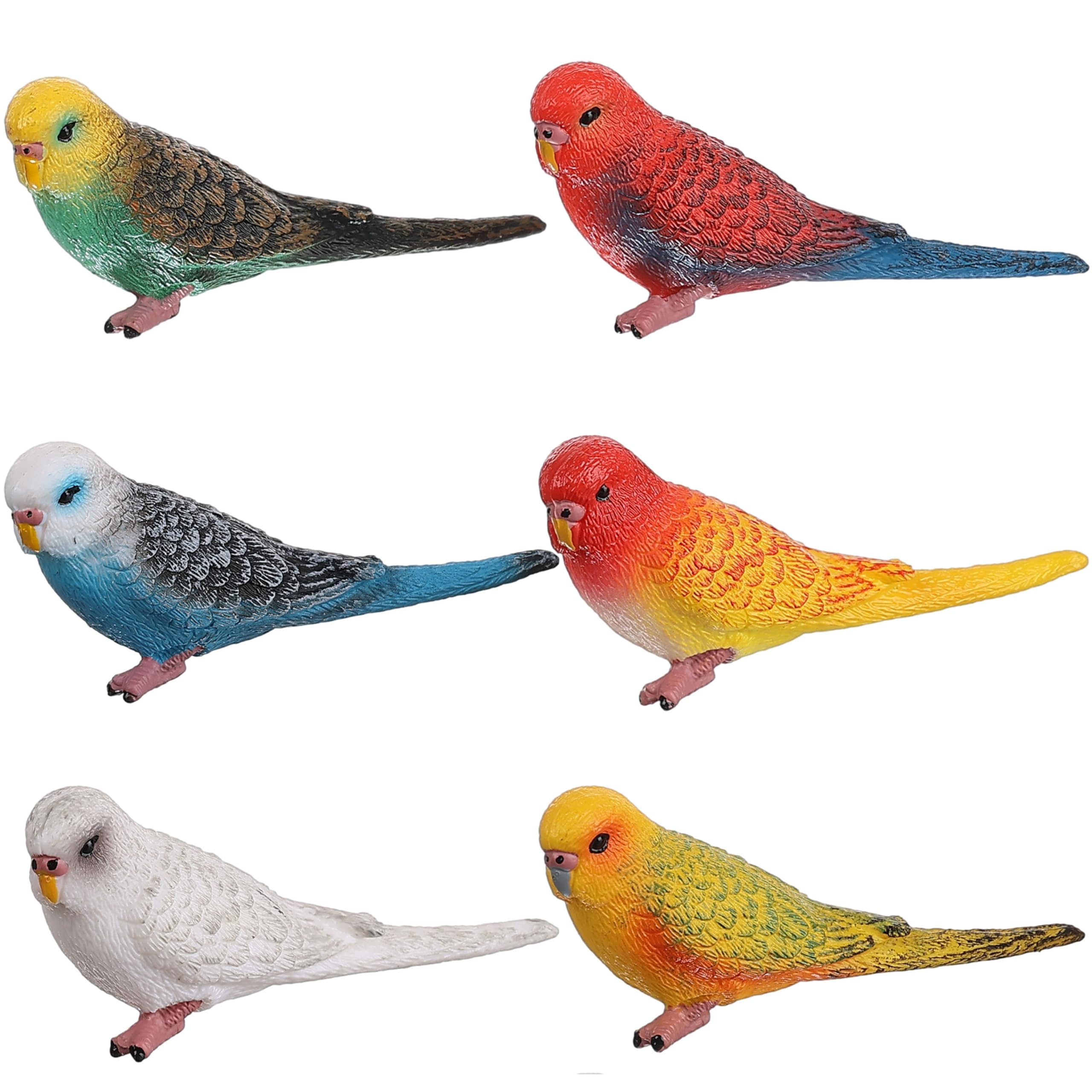 6pcs Realistic Parrot Toy Figures - Plastic Animal Model Set for Kids Learning & Play | Educational Bird Toys for Boys & Girls | Perfect for Classroom, Birthday Gifts & Nature Themed Playtime