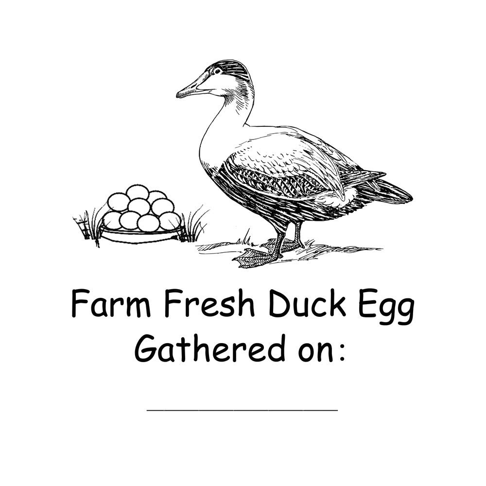 Custom Personalized Farm Fresh Duck Egg Stamp - Self Inking Rubber Stamp for Business, Farm Markets & Egg Packaging | Perfect for Egg Cartons, Farm Signs & Homestead Branding