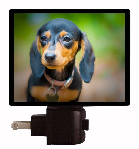 Dachshund Puppy LED Night Light for Dogs - Soft Glow Pet Nightlight for Bedroom, Nursery & Hallway Safety
