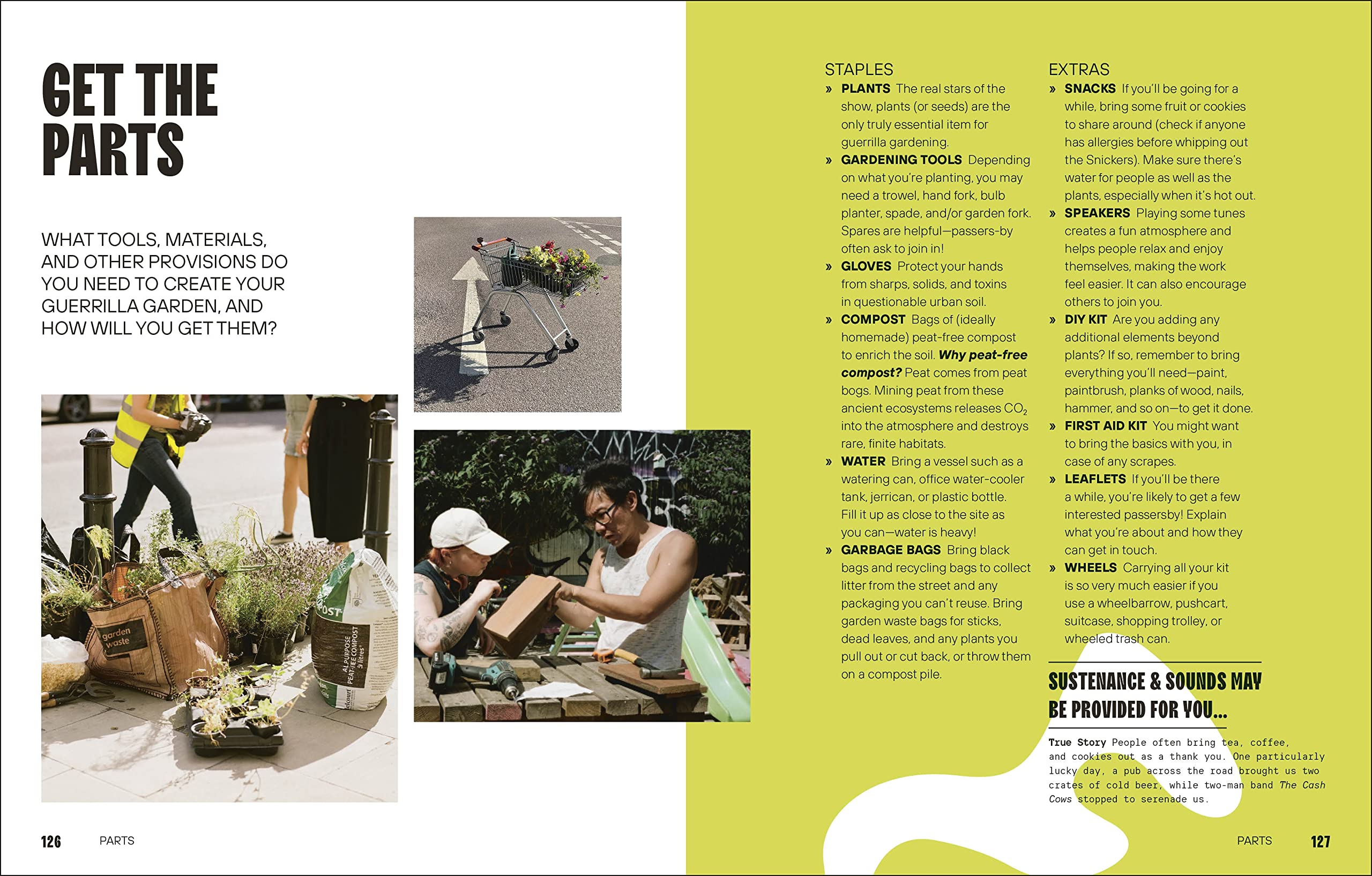 Guerrilla Gardening Guide: The Ultimate Handbook for Planting in Public Spaces | Urban Greening & Community Beautification