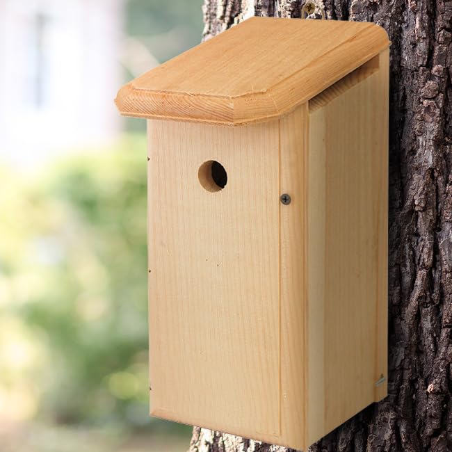 Premium Wooden Wren Bird House - Natural Cedar Birdhouse for Outdoor Garden, Backyard & Patio - Perfect for Attracting Wild Birds & Enhancing Your Garden Decor