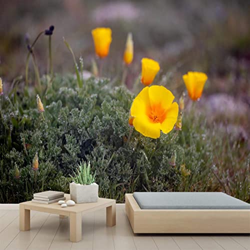 3D PVC Peel and Stick Wallpaper - Flowers Garden Mural Self-Adhesive Removable Wall Decor for Bedroom, Study Room, Nursery (78