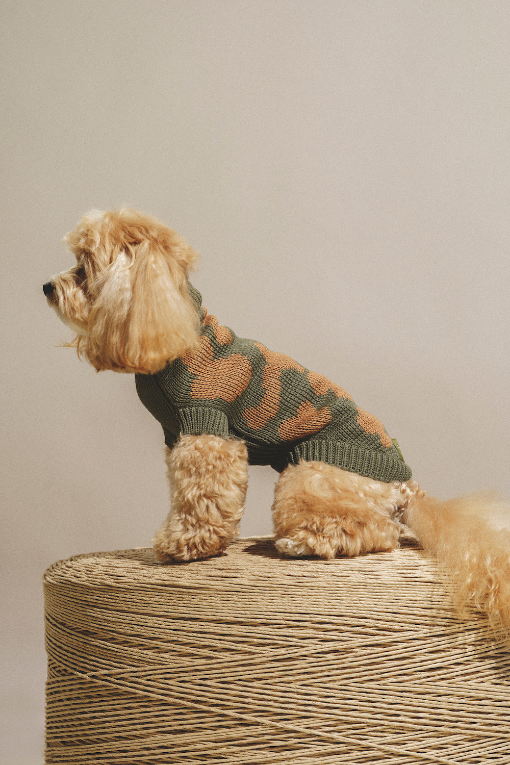 Dog Cardigan - Soft Pony Cotton Knit Sweater for Small Dogs - Cozy Winter Outfit for Indoor & Outdoor Use