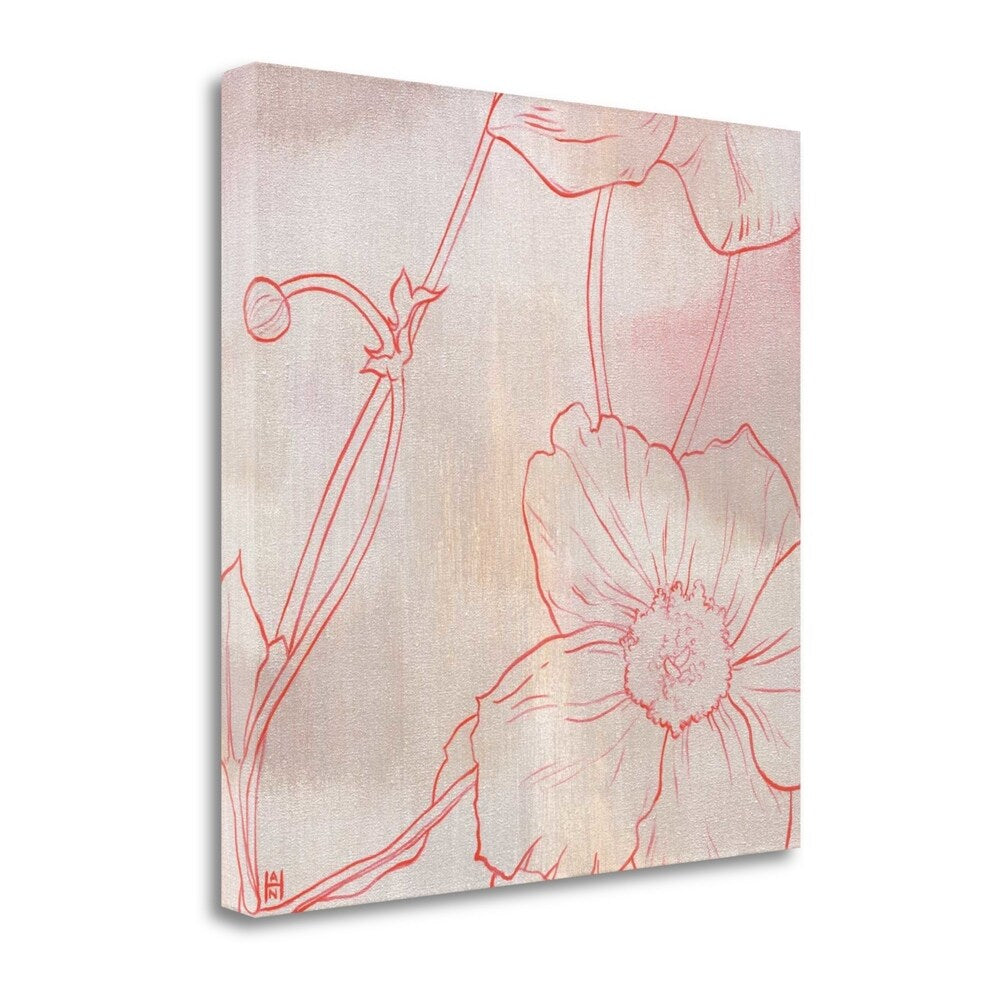 Anemone I By Stephanie Han - Fine Art Giclee Print on Gallery Wrap Canvas, Ready to Hang Wall Decor for Living Room, Bedroom & Office