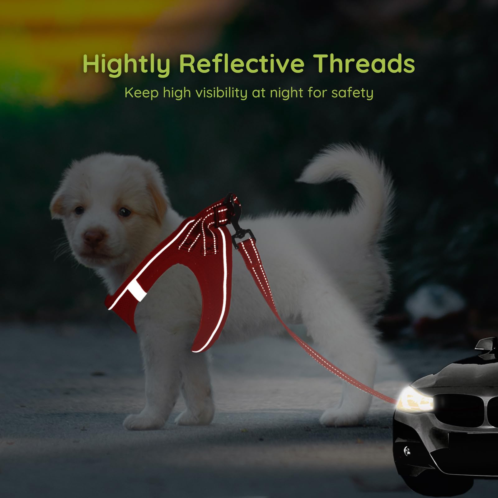 BELLA & PAL No-Pull Puppy Harness with Leash Set - Adjustable Step-in Dog Vest for Small & Extra Small Dogs - Comfortable Red Pet Harness for Walking & Training - Perfect for Daily Walks, Park Visits & Outdoor Adventures