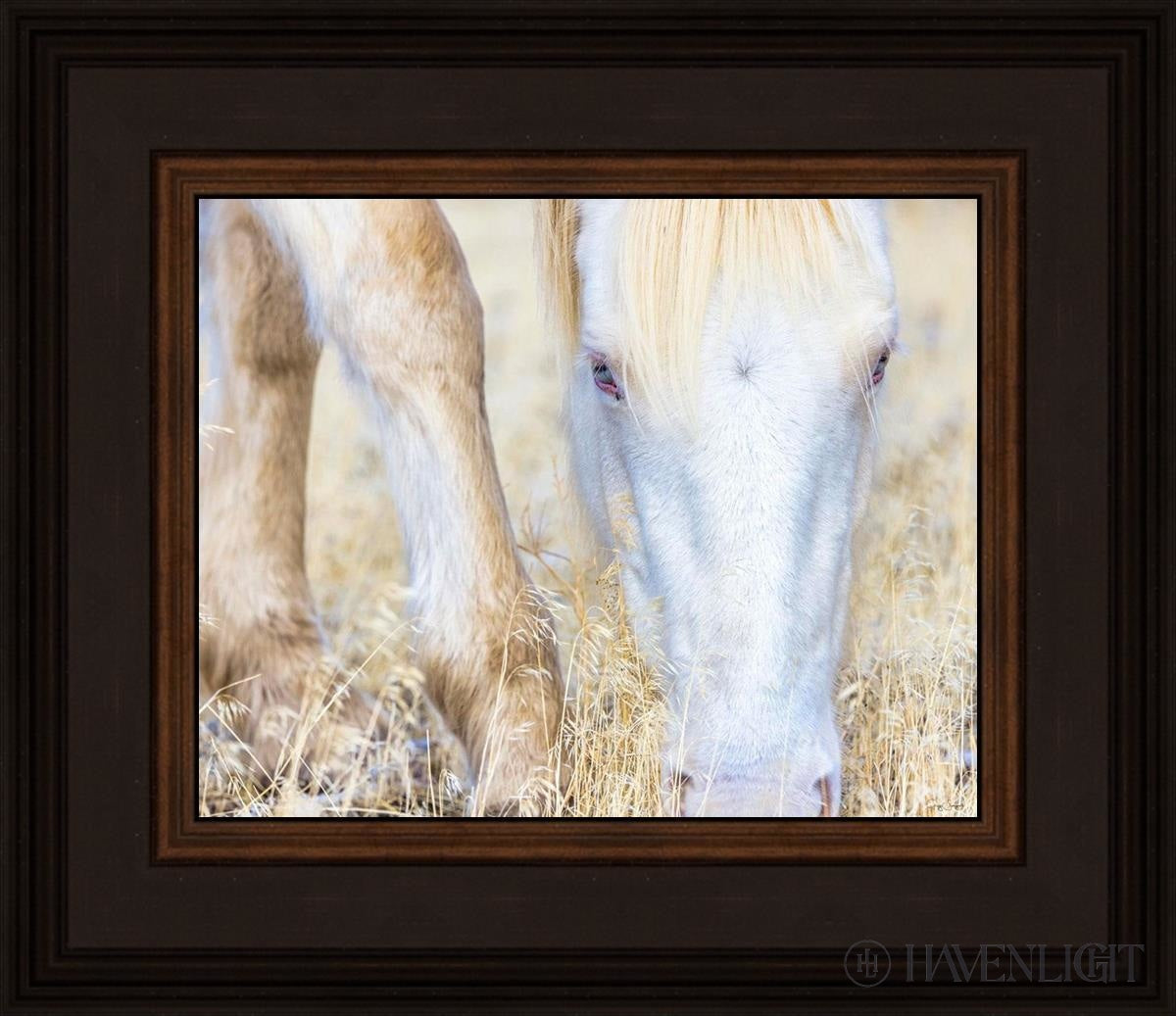 Dry Grass by Greg Sargent - Premium Handcrafted Home Decor for Rustic & Farmhouse Style - Perfect for Wall Art, Shelf Displays & Cozy Living Room Decor