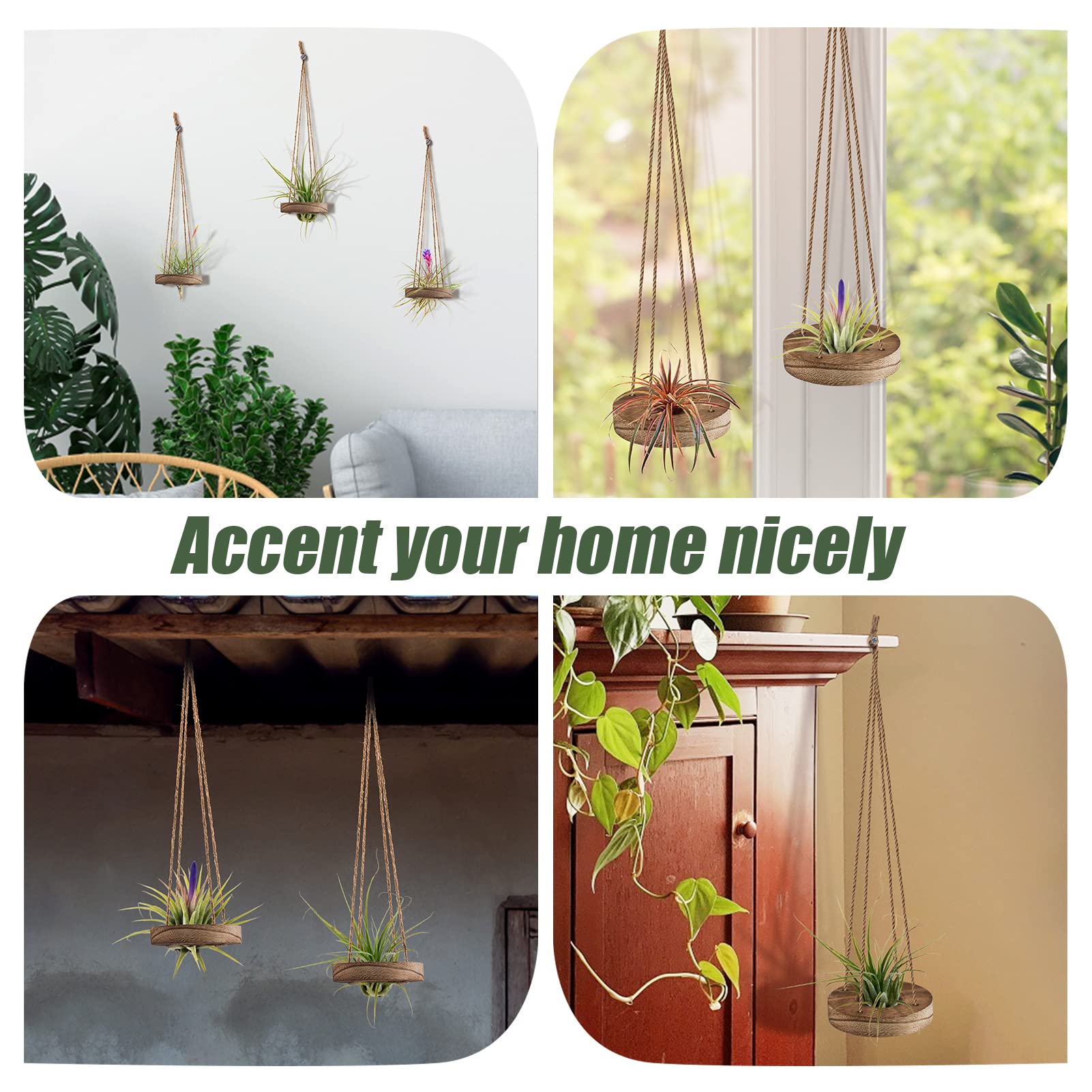 6 Pcs Hanging Wooden Air Plant Holders - 3 Inch Round Wooden Tillandsia Hangers with Jute Ropes, Rustic Air Plant Stand for Succulent Display | Home Office Decor, Wedding Party Favors, Gardening Gifts (Plants Not Included)