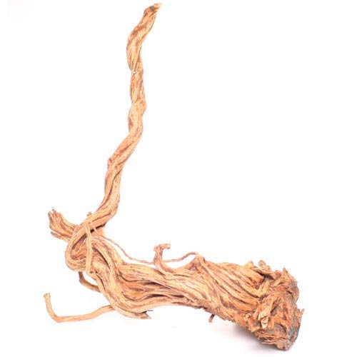Underwater Treasures Terrarium Wood Root - Natural Aquarium Decoration for Fish Tanks, Reptile Habitats & Zen Gardens