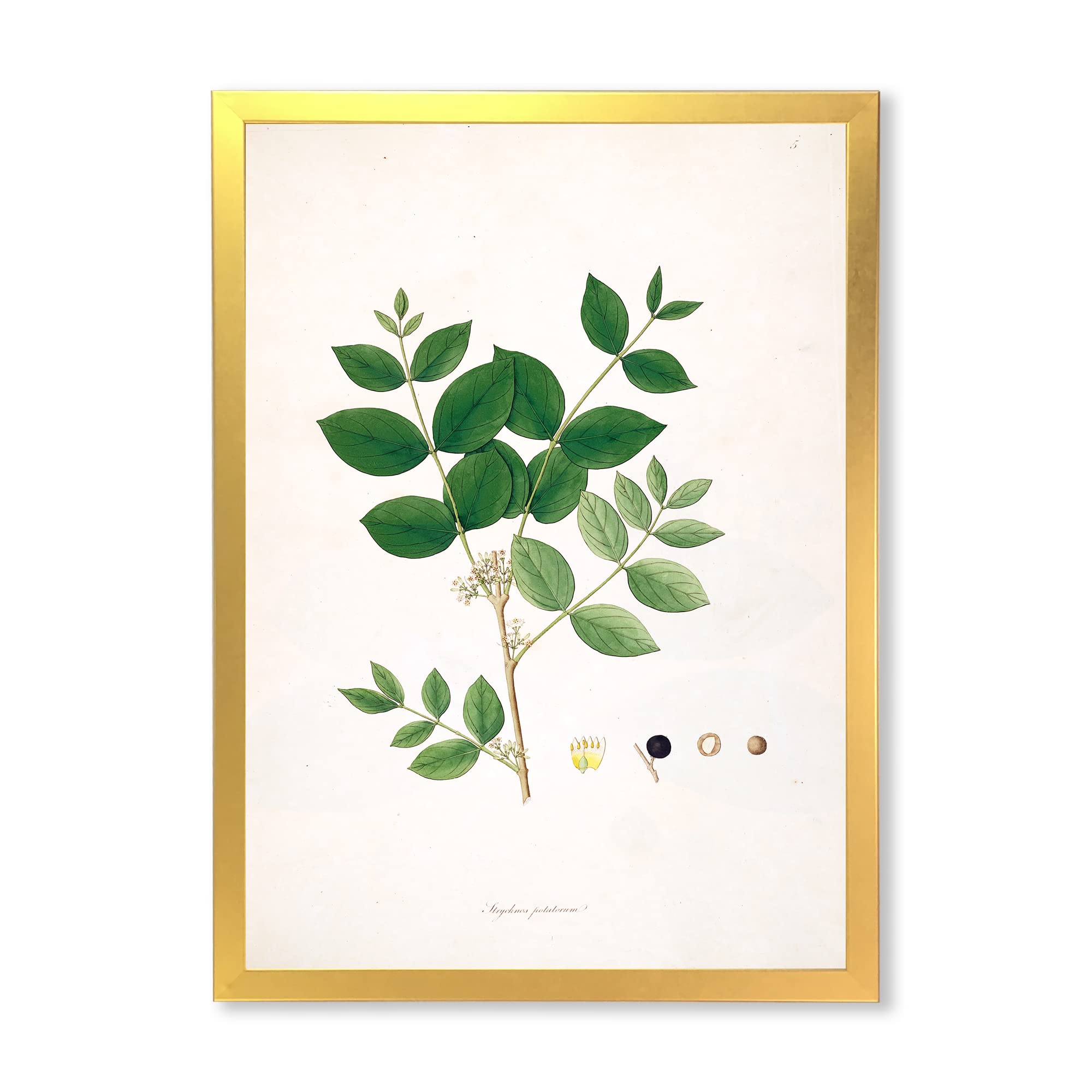 Vintage Botanicals VI Farmhouse Framed Wall Art - Rustic Floral Home Decor for Living Room, Bedroom & Office - Perfect for Farmhouse, Cottage & Boho Style Interiors