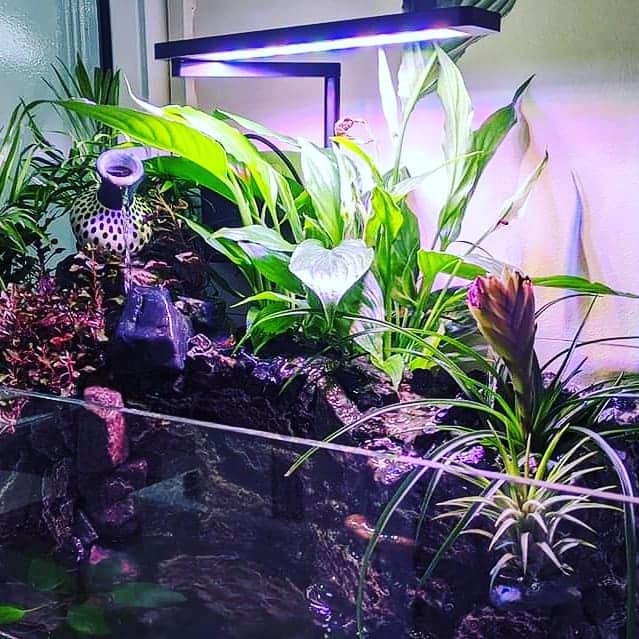 Programmable LED Aquarium Light 20W with Timer - Sunrise Sunset Full Spectrum for Freshwater Fish, Shrimp, Planted & Nano Tanks | Perfect for Aquascaping & Home Decoration