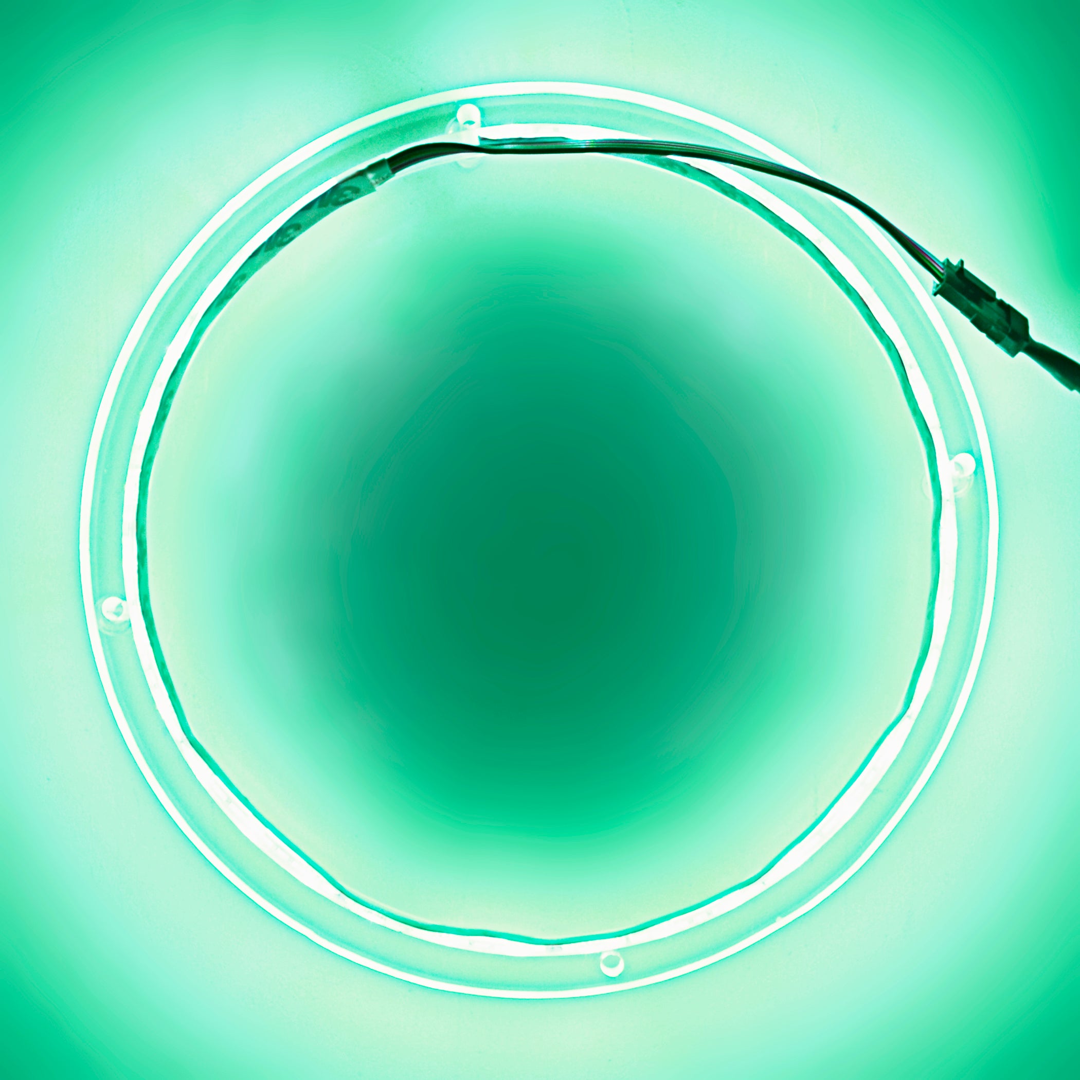 10 Pack RGB LED Speaker Rings - Colorful Lighting for DJ, Gaming & Home Audio (NL RIAPMP 10RGB) - Perfect for Parties, Concerts & PC Setups