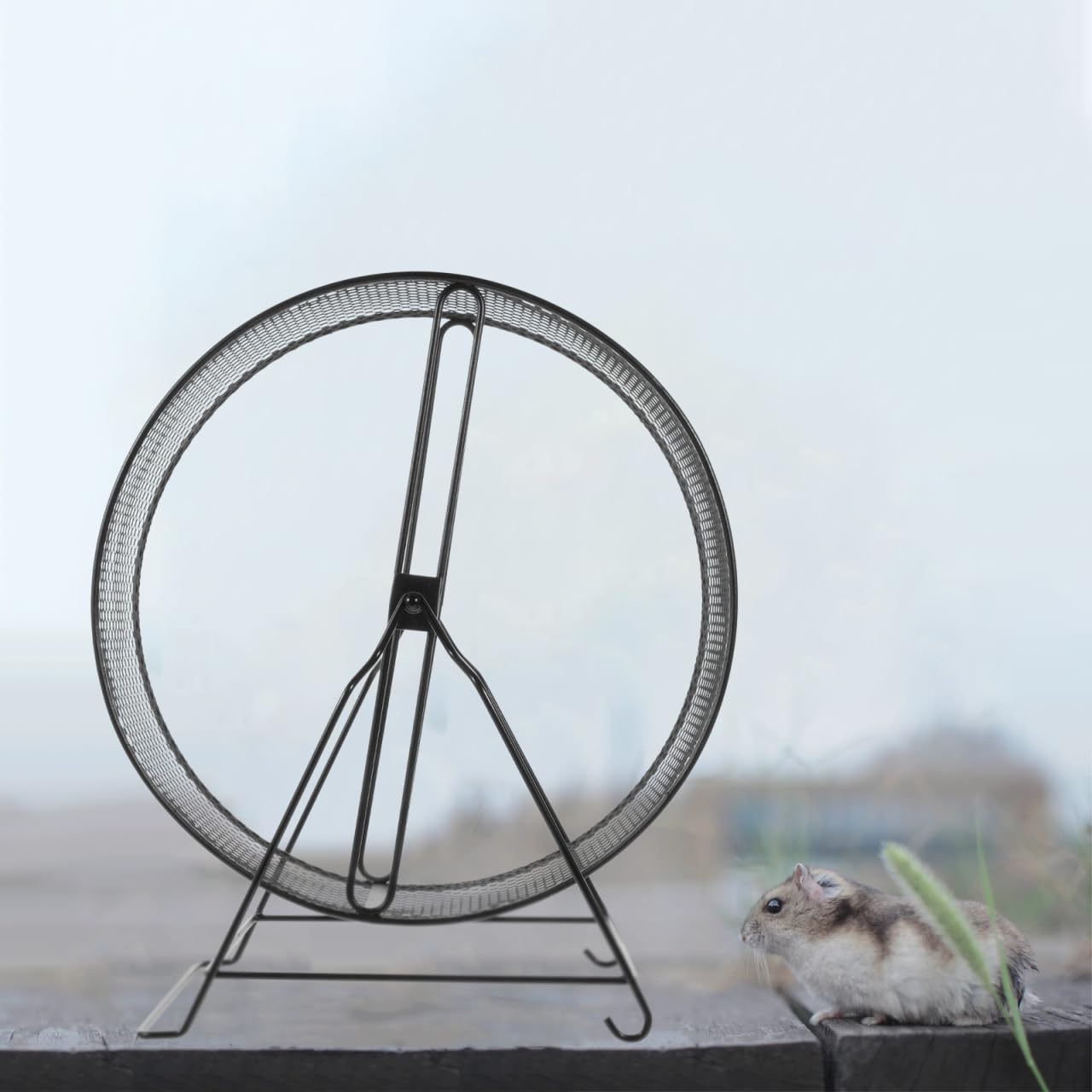 Mikikit Hamster Exercise Wheel with Stand - Silent Spinning Small Pet Running Wheel for Hamsters, Gerbils, Rats & Hedgehogs | Durable Mesh Design for Cage Accessories & Small Animal Fitness Toys (Perfect for Nighttime Play & Daily Exercise)