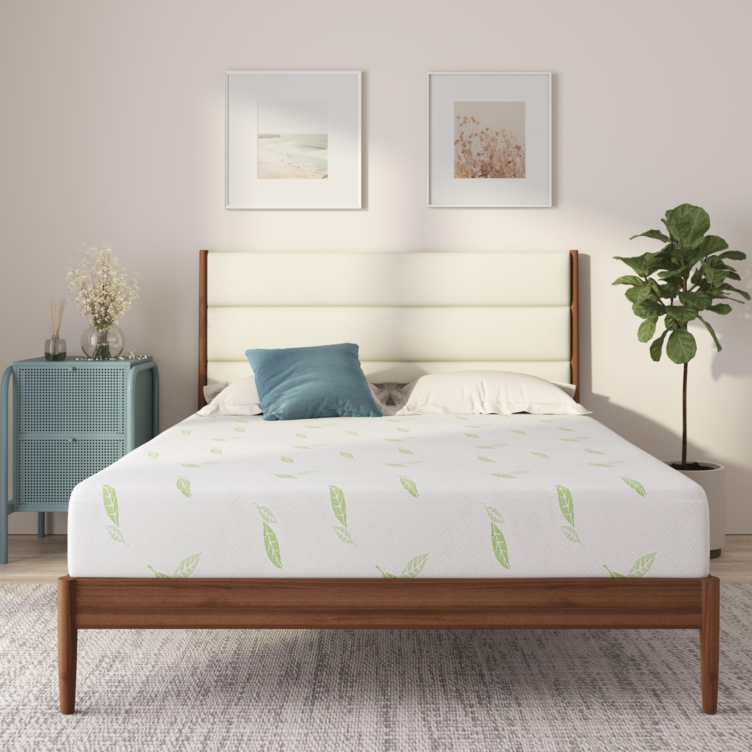 NapQueen Twin XL 6-Inch Green Tea Infused Memory Foam Mattress - CertiPUR-US Certified, Bed in a Box for Dorm Rooms & Guest Beds | Cooling Pressure Relief for Side Sleepers