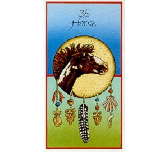 Medicine Cards - Spiritual Healing & Guidance Cards for Meditation, Self-Discovery & Therapy | Perfect for Yoga, Reiki, Tarot & Holistic Wellness Practices