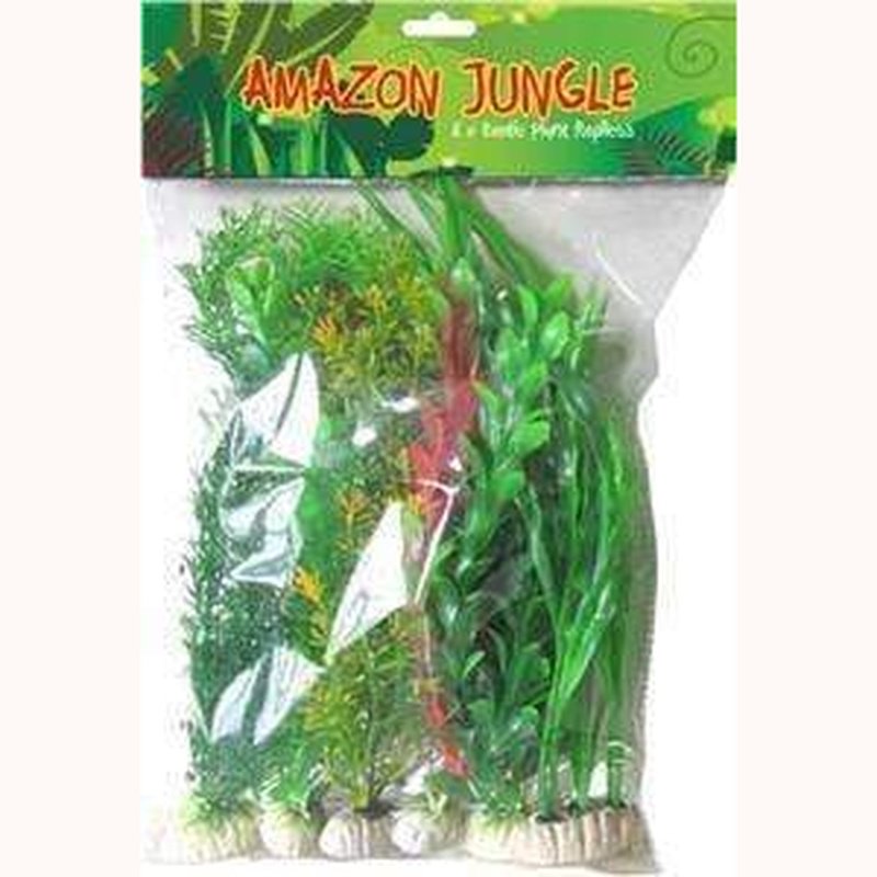 Amazon Jungle Mixed Plants 6 Pack - Live Tropical Houseplants for Home & Office Decor - Perfect for Indoor Gardening, Terrariums, and Gift Giving
