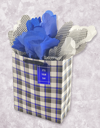 Edgewater Plaid (Garden) Gift Bags - Premium Wrapping Bags for Birthday, Wedding & Holiday Presents - Elegant Party Favor Packaging