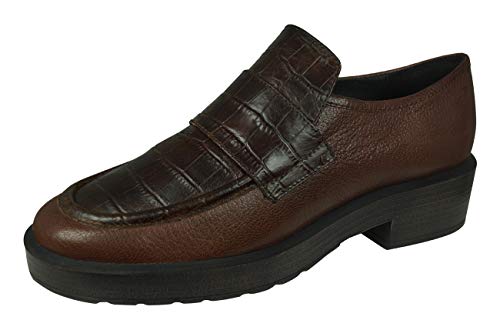 Brown Brown C0013