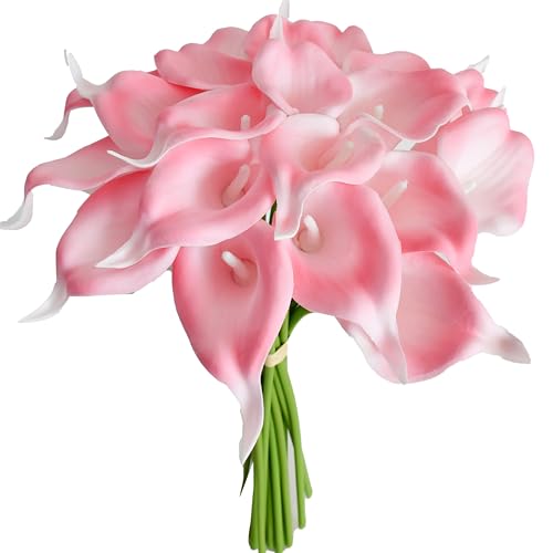 Pink-1