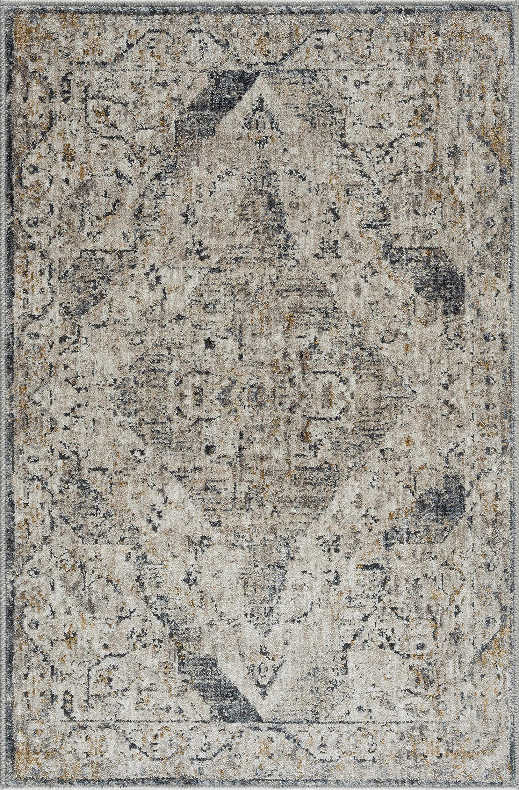 Hauteloom Wadeye Traditional Gray and Blue Area Rug 2'7