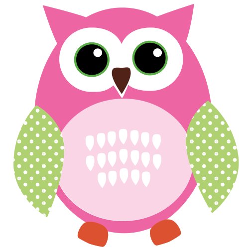 Regular Owl: Pink & Green
