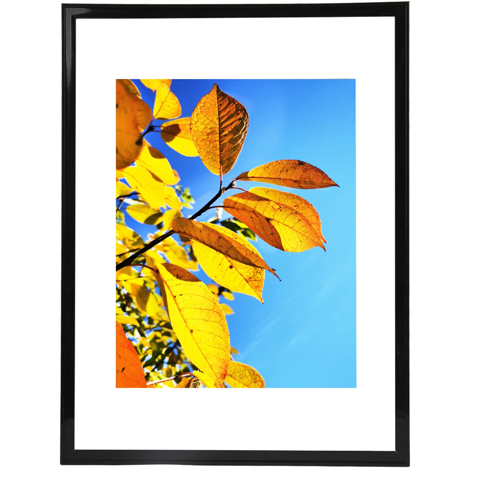 Aynoo 12x16 Picture Frame Black - 3 Pack | Display Photos, Certificates & Diplomas (8.5x11) | Perfect for Home, Office & Graduation Decor