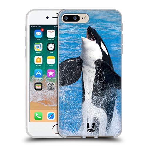 Jumping Killer Whale