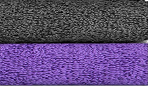 Grey - Purple