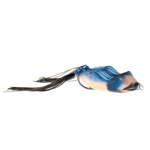Swallow