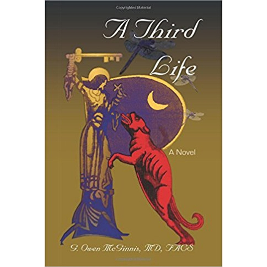 A Third Life: A Captivating Novel - Perfect for Book Clubs & Relaxing Evenings