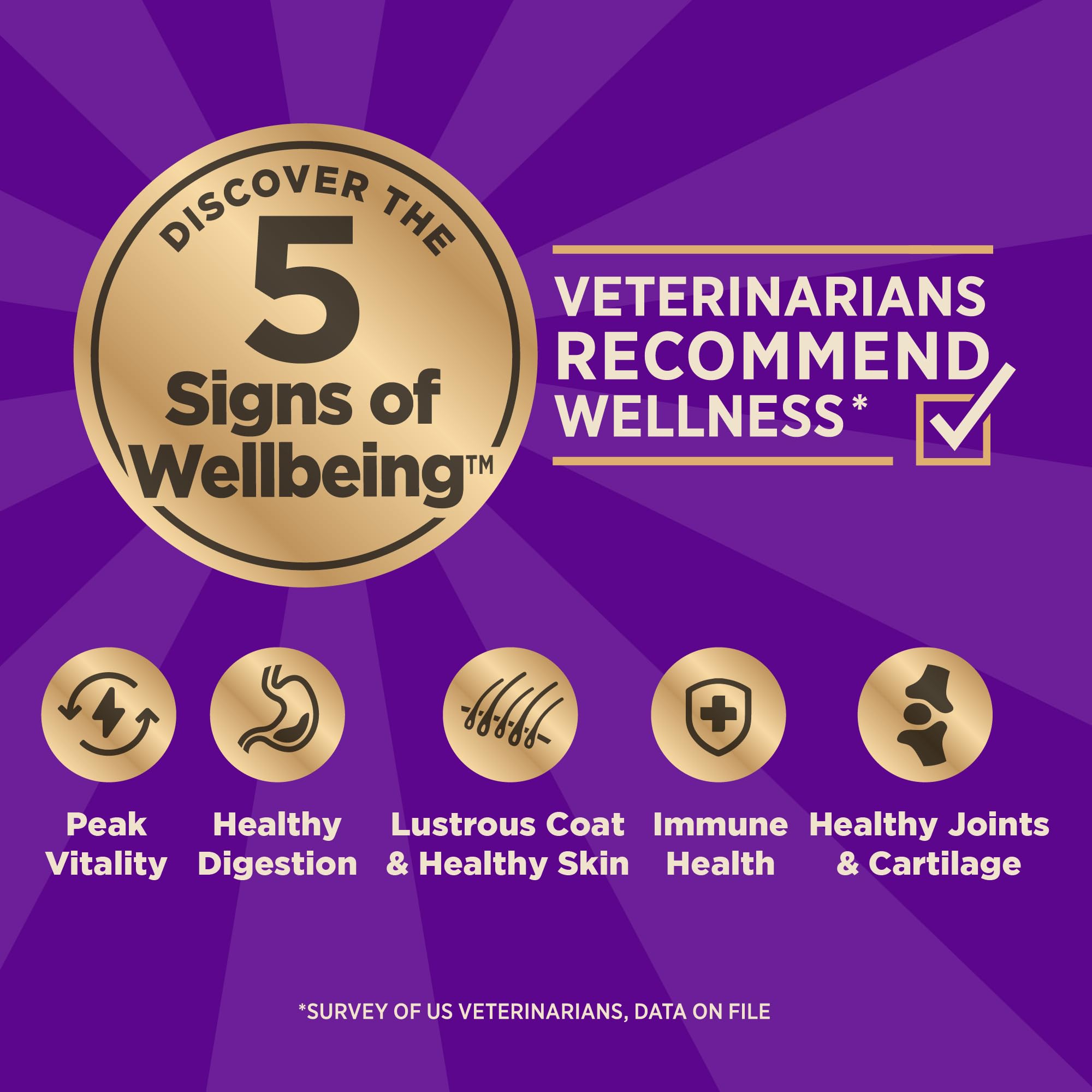 Wellness CORE+ High Protein Dry Dog Food with Freeze-Dried Beef & Wholesome Grains - Natural Beef & Barley Recipe (4lb Bag) - Perfect for Active Dogs & Weight Management